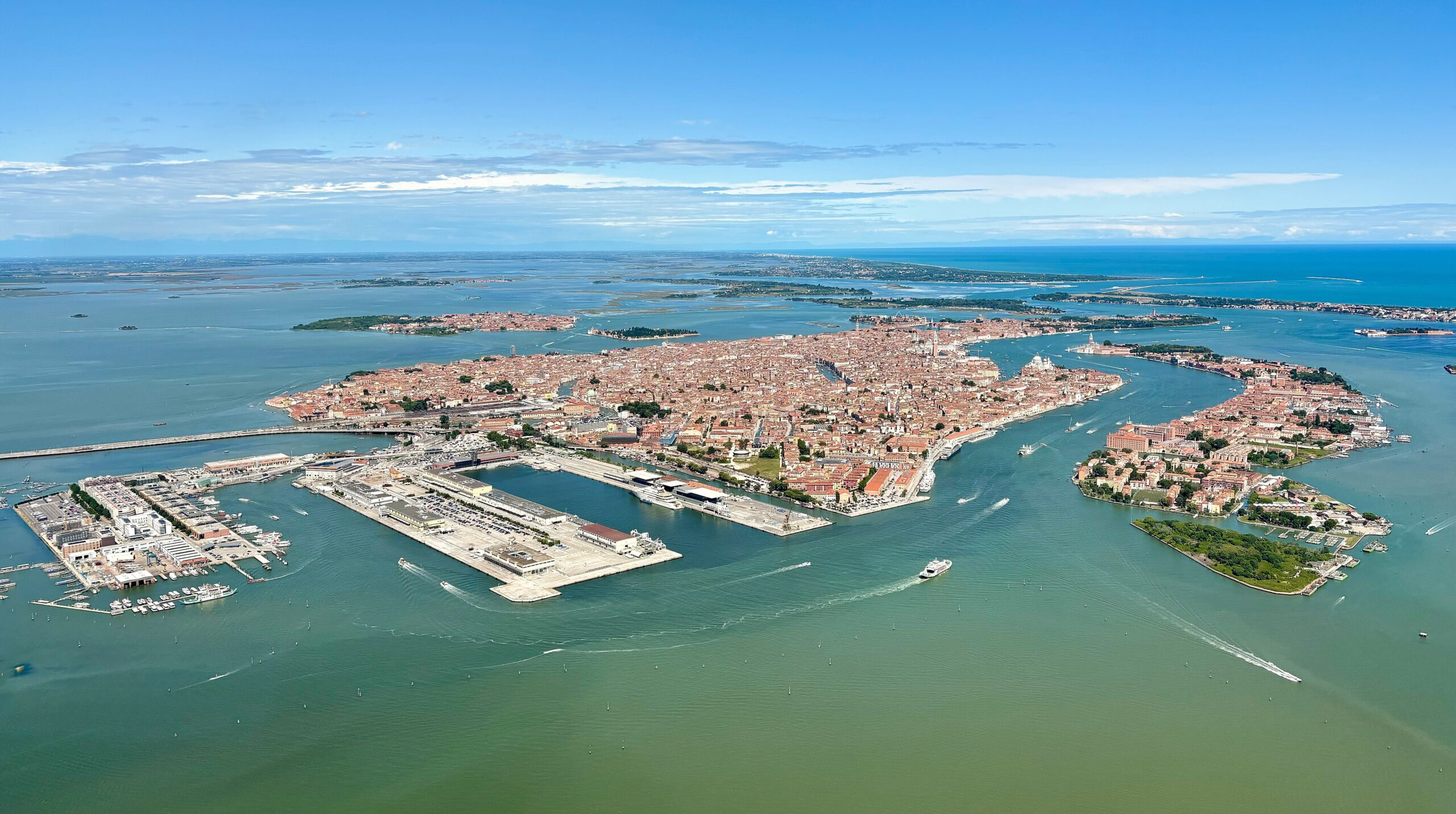 Venice 83 - The Most Political Competition in Years